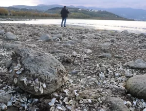 Sapanca Gölü’nde Su Seviyesi Düşüyor