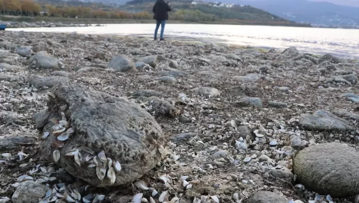 Sapanca Gölü’nde Su Seviyesi Düşüyor