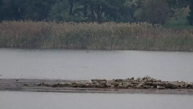 Sapanca Gölü’nde Tarihi Kilise Kalıntısı Ortaya Çıktı