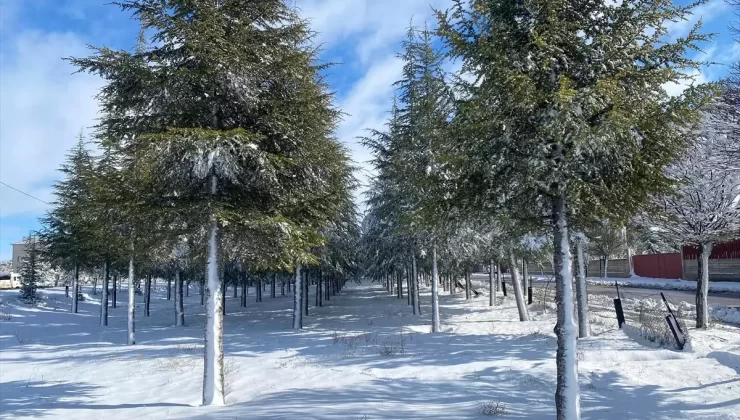 Sarayönü’nde Kar Yağışı Etkili Oldu