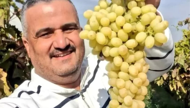 Sarıgöl’de Üzüm Üreticisine Yüz Güldüren Fiyatlar