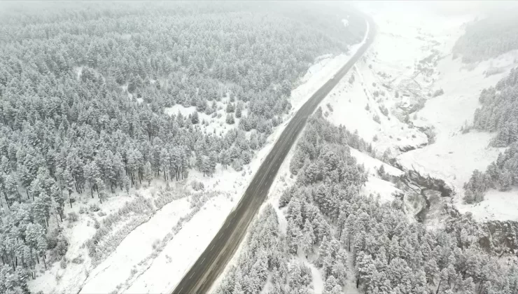 Sarıkamış’ta Kış Manzarası