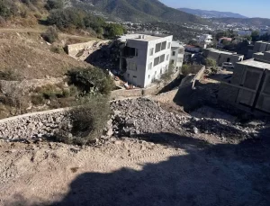 Şarkıcı Suavi’nin Arazisindeki Ağaç Kesimi İçin İnceleme Başlatıldı