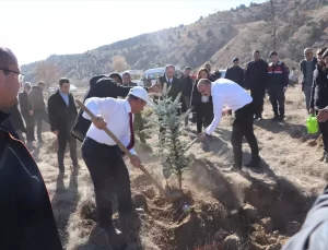 Şarkışla’da 2 Bin Fidan Dikildi