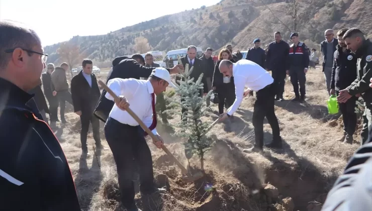 Şarkışla’da 2 Bin Fidan Dikildi
