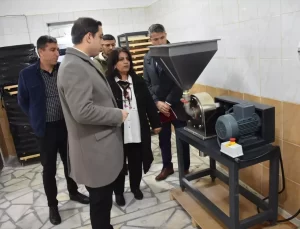 Sason’da Modern Çilek Tesisi Kuruluyor