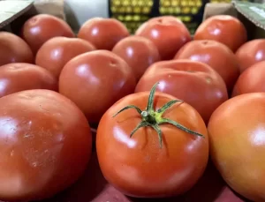 Sebze Fiyatları Yüzde 20 Arttı