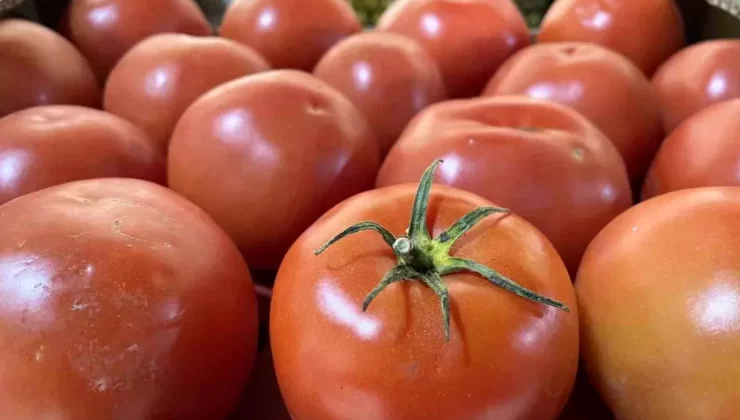 Sebze Fiyatları Yüzde 20 Arttı