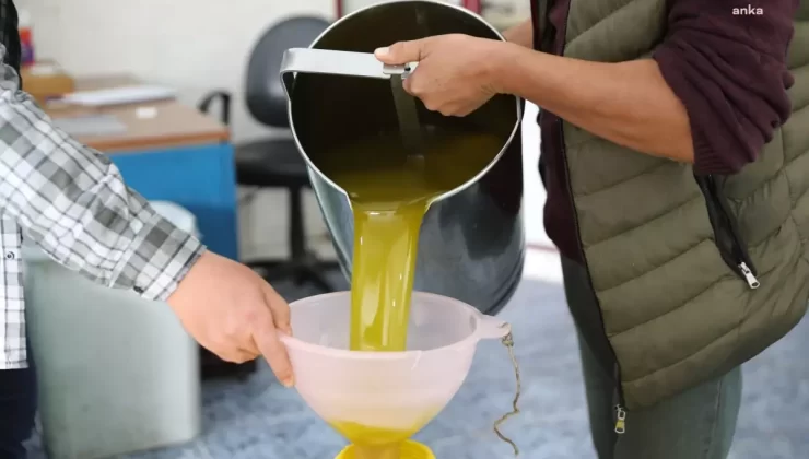 Seferihisar Belediyesi Zeytinyağı Üretimine Başladı