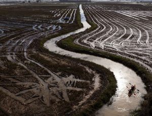 Sel felaketi 650 bin ton tarım ürününü yok etti