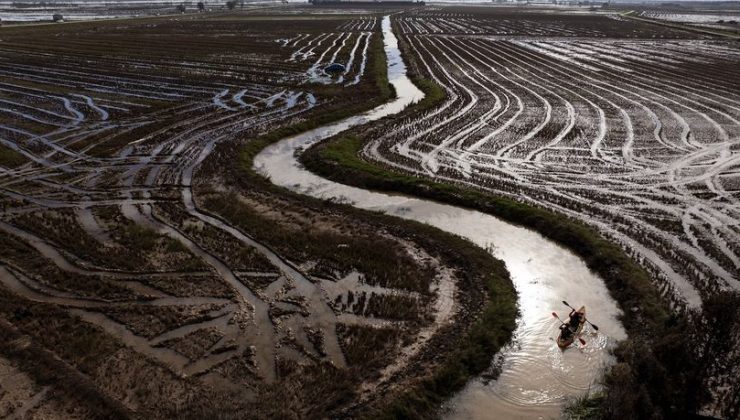 Sel felaketi 650 bin ton tarım ürününü yok etti