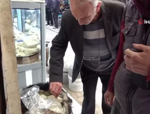 Siirt’te Kışlık Peynir Satışı Başladı
