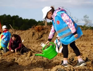 Şile’de 100 Bin Fidan Dikildi