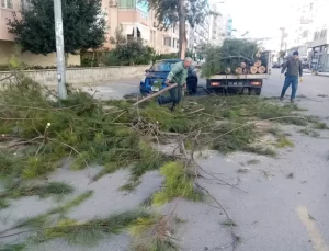 Silifke’de Fırtına Sonrası Temizlik ve Onarım Çalışmaları Devam Ediyor