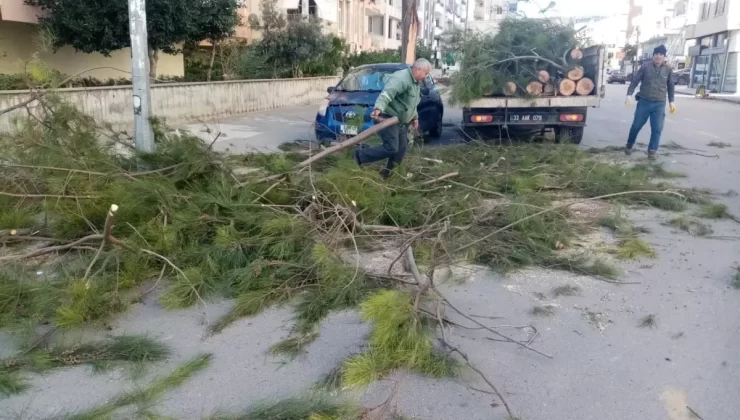 Silifke’de Fırtına Sonrası Temizlik ve Onarım Çalışmaları Devam Ediyor