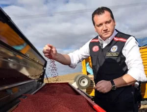 Silivri Belediyesi’nden 1600 Dekar Buğday Ekimi Projesi