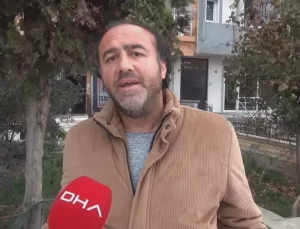 Silivri’de Çok Sayıda Yavru Kedi Ölü Bulundu