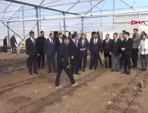 Silopi’de Tropikal Meyve Yetiştiriciliği Başladı