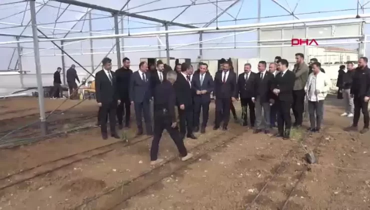 Silopi’de Tropikal Meyve Yetiştiriciliği Başladı