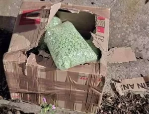 Sınırda Uyuşturucu Yakalama