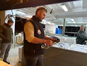 Sinop’ta Balık Denetimi: 5 Ton İstavrit Ele Geçirildi
