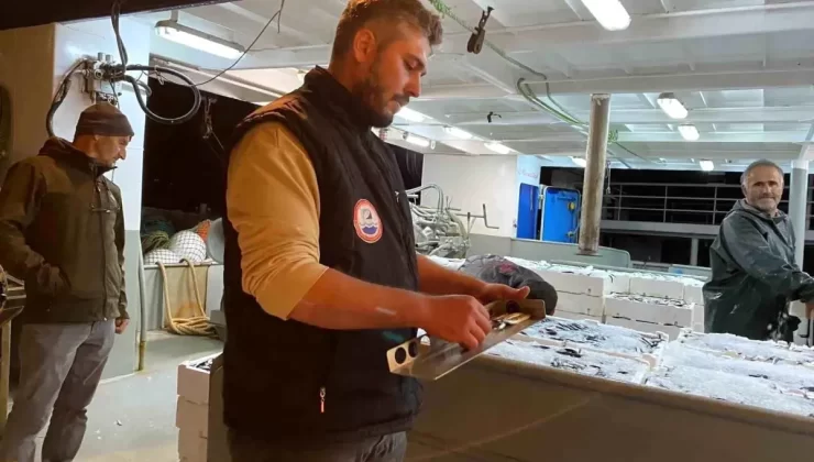 Sinop’ta Balık Denetimi: 5 Ton İstavrit Ele Geçirildi