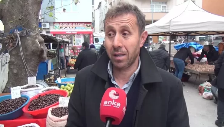 Sinop’ta Kuzu Kestanesi Fiyatları Yükseldi