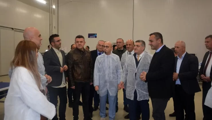 Sinop’ta Su Ürünleri İşleme Tesisi Tanıtıldı