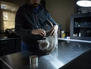 Şiraz, Pilatesle 6 Kilo Verdi, Yeni Yuvasını Arıyor