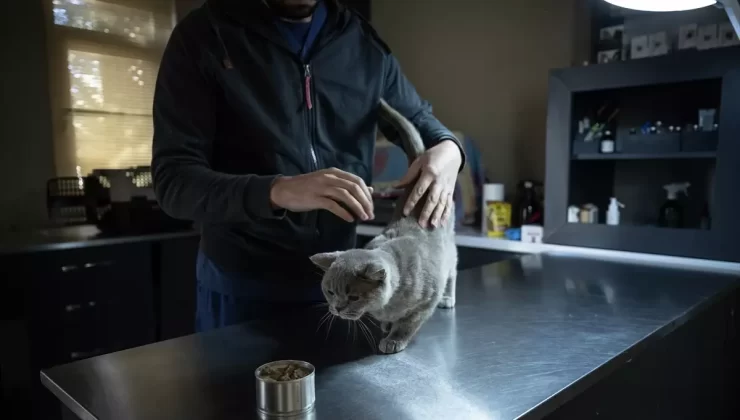 Şiraz, Pilatesle 6 Kilo Verdi, Yeni Yuvasını Arıyor