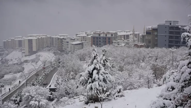 Şırnak’ta Kar Yağışı Nedeniyle 1 Belde ve 7 Köy Yolu Kapandı