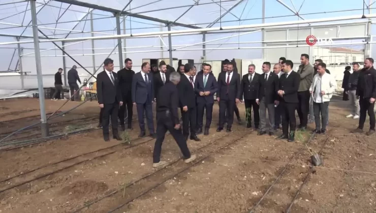 Şırnak’ta Modern Sera ile Tropikal Meyve Dikimi