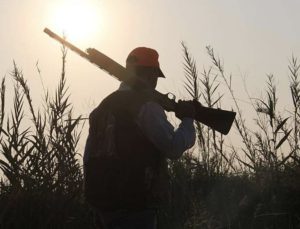 Şırnak’ta yasa dışı keklik avına 41 bin lira ceza