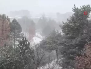 Sivas’ta Kar Yağışı Sürücüleri Zor Durumda Bıraktı