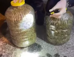 Sivas’ta Otobüste 10 Kilo Uyuşturucu Ele Geçirildi