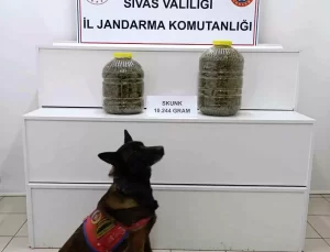Sivas’ta Uyuşturucu Operasyonu