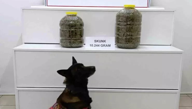 Sivas’ta Uyuşturucu Operasyonu