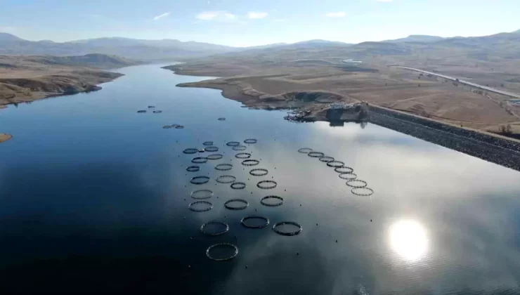 Sivas’tan Somon Adayları Karadeniz’e