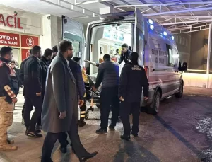 Siverek-Diyarbakır Karayolunda Zincirleme Kaza