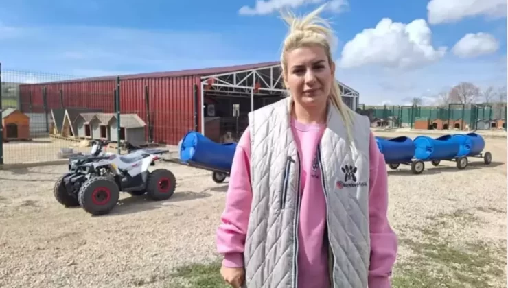 Sokak Hayvanları Derneği’nde Haksız Kazanç İddiasıyla 9 Gözaltı