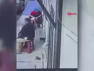 Sokak Kedisi Dürümü Kapıp Gitti