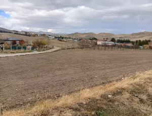 Sokak Köpeklerinin Saldırısına Uğrayan 13 Yaşındaki Çocuk Hastaneye Kaldırıldı