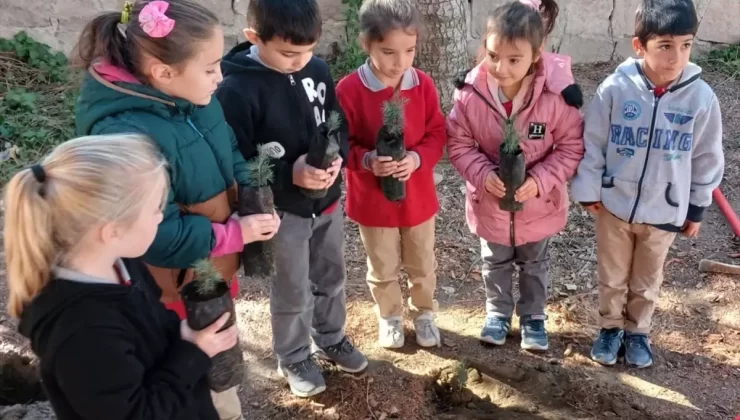 Sorgun’da Fidan Dikim Projesi