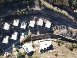 Suavi’nin Bodrum Arazisindeki Ağaç Kesimi ve Doğa Tahribatı