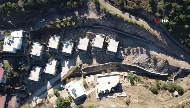 Suavi’nin Bodrum Arazisindeki Ağaç Kesimi ve Doğa Tahribatı