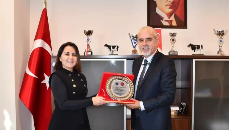 Süleymanpaşa’da Yol Çalışmaları Devam Ediyor