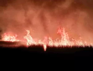 Sultan Sazlığı’nda Yangın