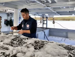 Sürdürülebilir Balıkçılık Vurgusu