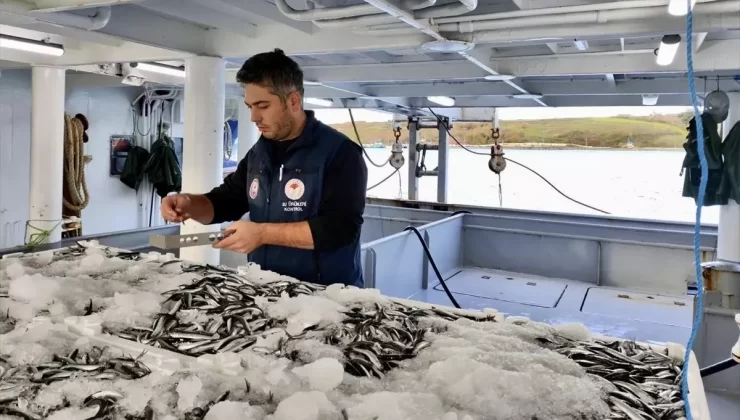 Sürdürülebilir Balıkçılık Vurgusu