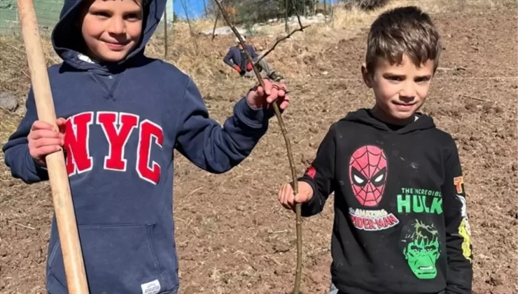 Suşehri’nde Kuşburnu Fidanı Dikimi
